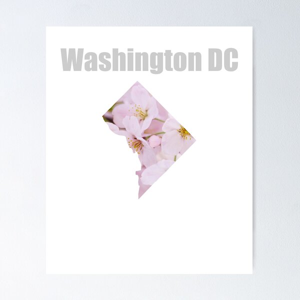 Item preview, Washington DC Cherry Blossoms designed and sold by EncodedShirts.