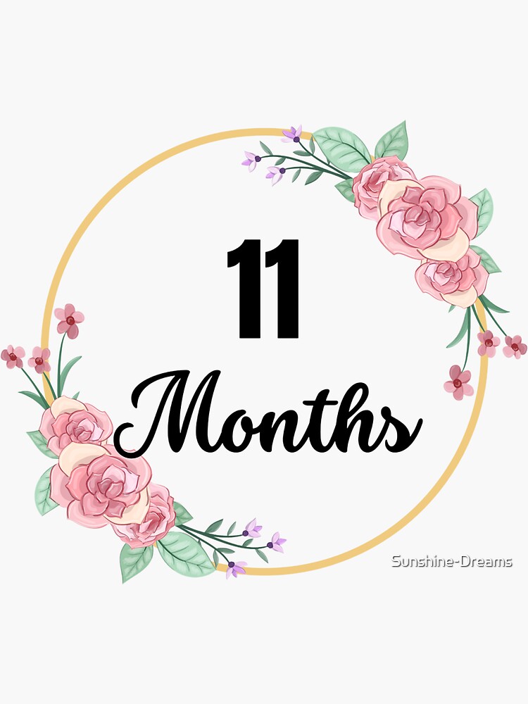 Baby Scrapbook Stickers, Floral Baby Month Cards, Monthly Baby