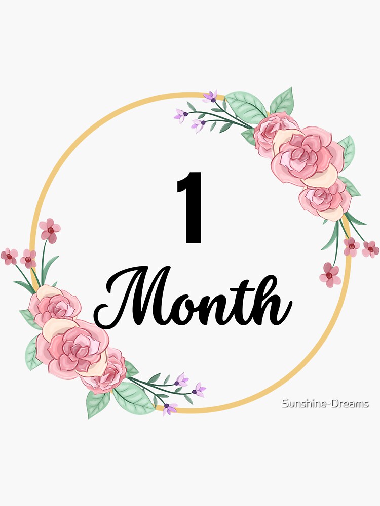 1 Month Milestone Baby Girl Pink Floral Script