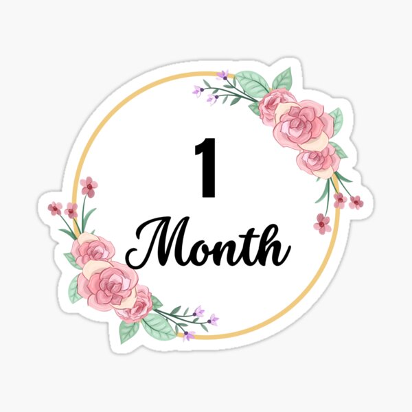 Baby Monthly Stickers Floral Baby Milestone Stickers Newborn Girl