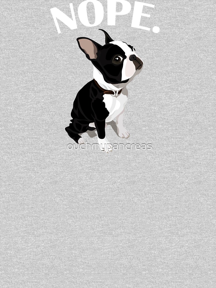 Disover Boston Terrier | Classic T-Shirt