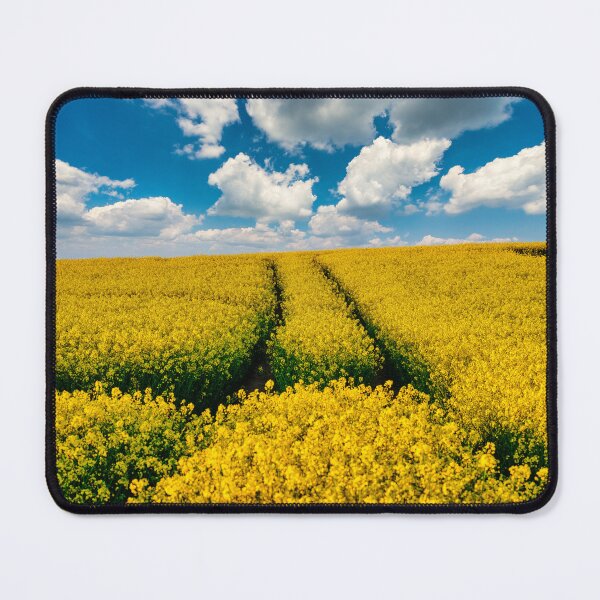 Item preview, Golden Oil Rapeseed Field designed and sold by manateevoyager.