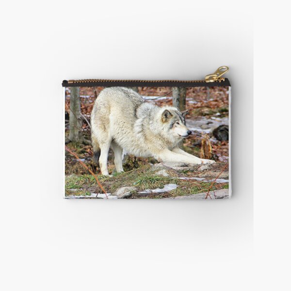 Item preview, Timberwolf stretching before the pounce. designed and sold by vette.