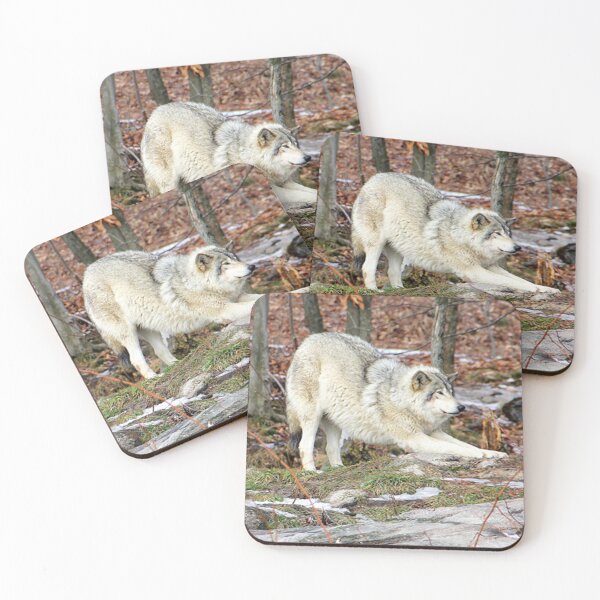 Item preview, Timberwolf stretching before the pounce. designed and sold by vette.