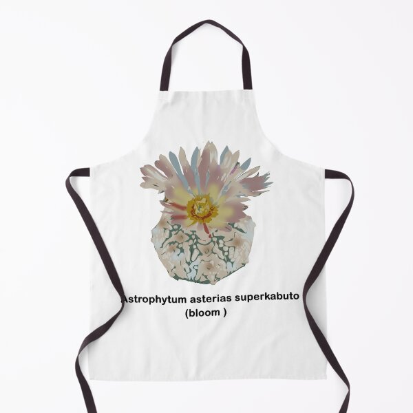 Item preview, Astrophytum asterias superkabuto designed and sold by Doooriginals.