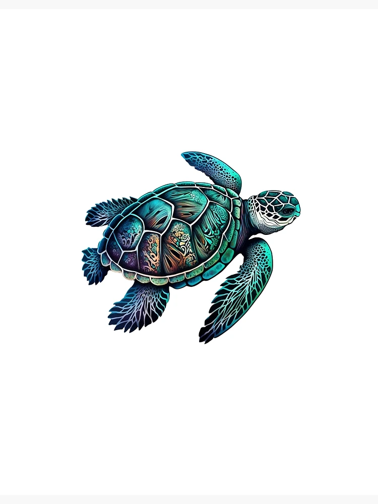 12 Turtle Procreate Stamps. Sea Turtle Tattoo Design. Land Tortoise Line  Art Brushes. Cute Turtle Brushes. Drawing Stamps for Procreate iPad 