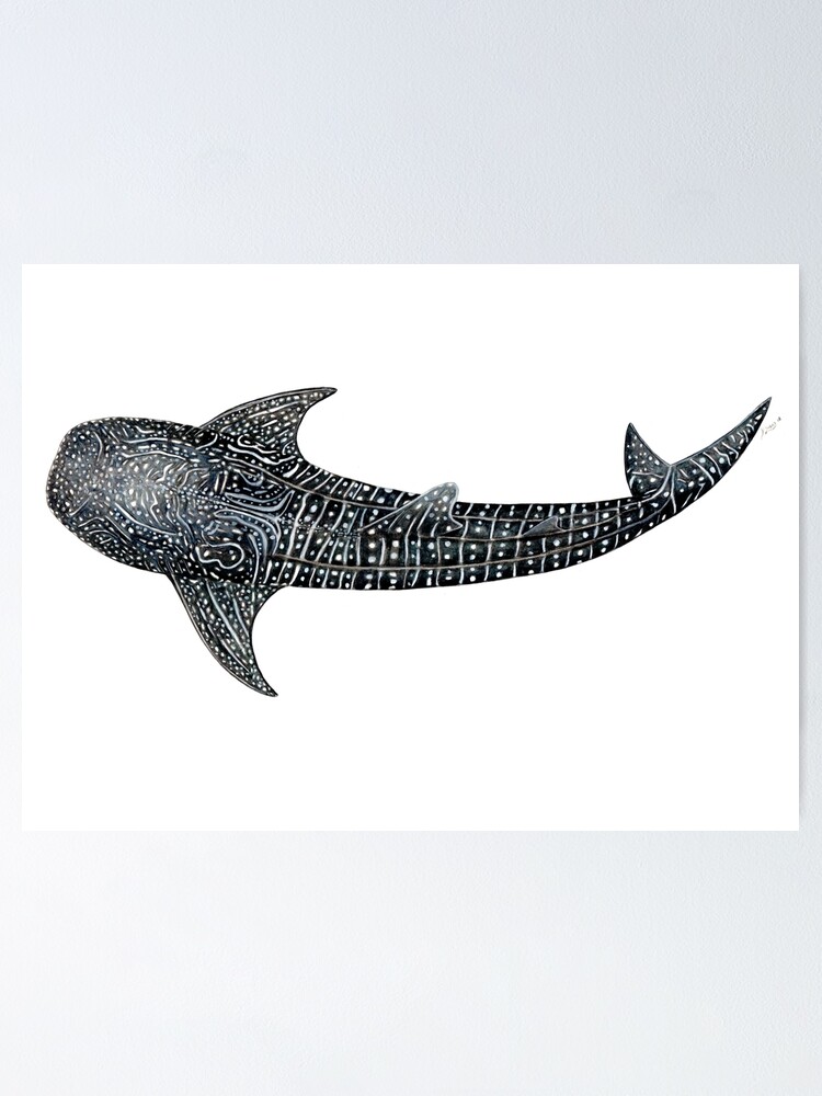 Whale shark