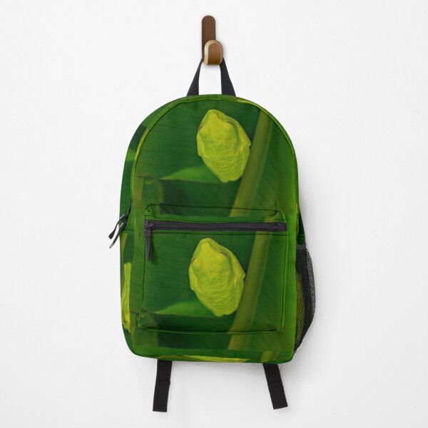 Item preview, Green Tree Frog with Red Eyes designed and sold by SafariByMarisa.