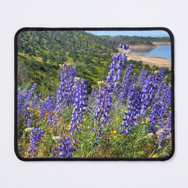 Item preview, Pincushion Mountain with lupins designed and sold by Alla Gill.