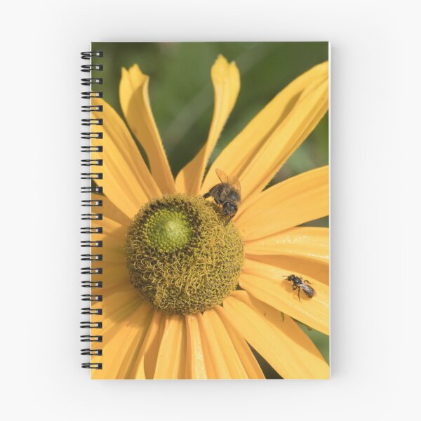Item preview, French Daisy designed and sold by DPalmer.