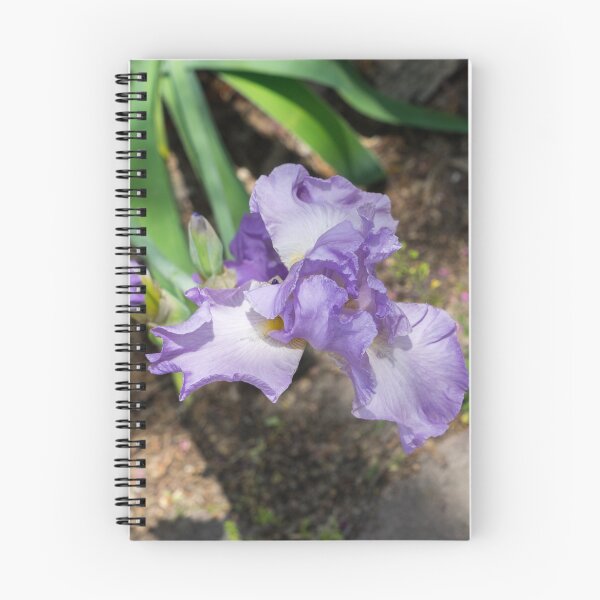 Item preview, On the Edge of the Garden - Bearded German Iris with Buds designed and sold by Georgia Mizuleva.