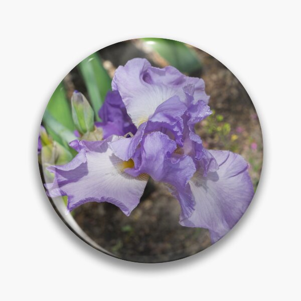 Item preview, On the Edge of the Garden - Bearded German Iris with Buds designed and sold by Georgia Mizuleva.