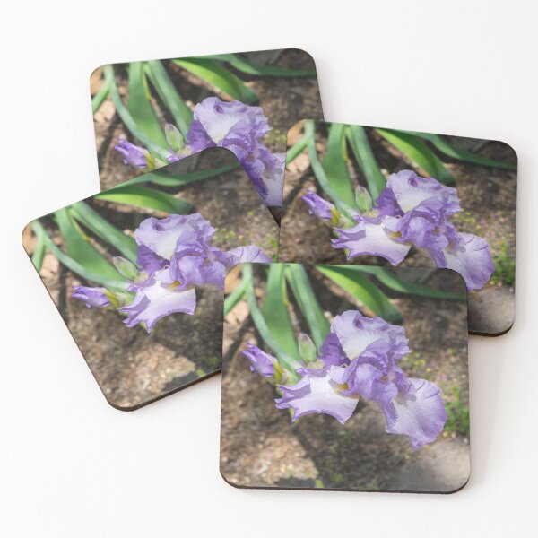 Item preview, On the Edge of the Garden - Bearded German Iris with Buds designed and sold by Georgia Mizuleva.
