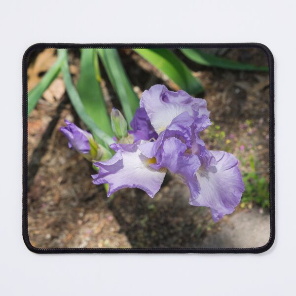 Item preview, On the Edge of the Garden - Bearded German Iris with Buds designed and sold by Georgia Mizuleva.