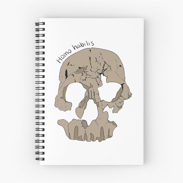 Item preview, Homo habilis Skull (with species label) designed and sold by Jadalane38.