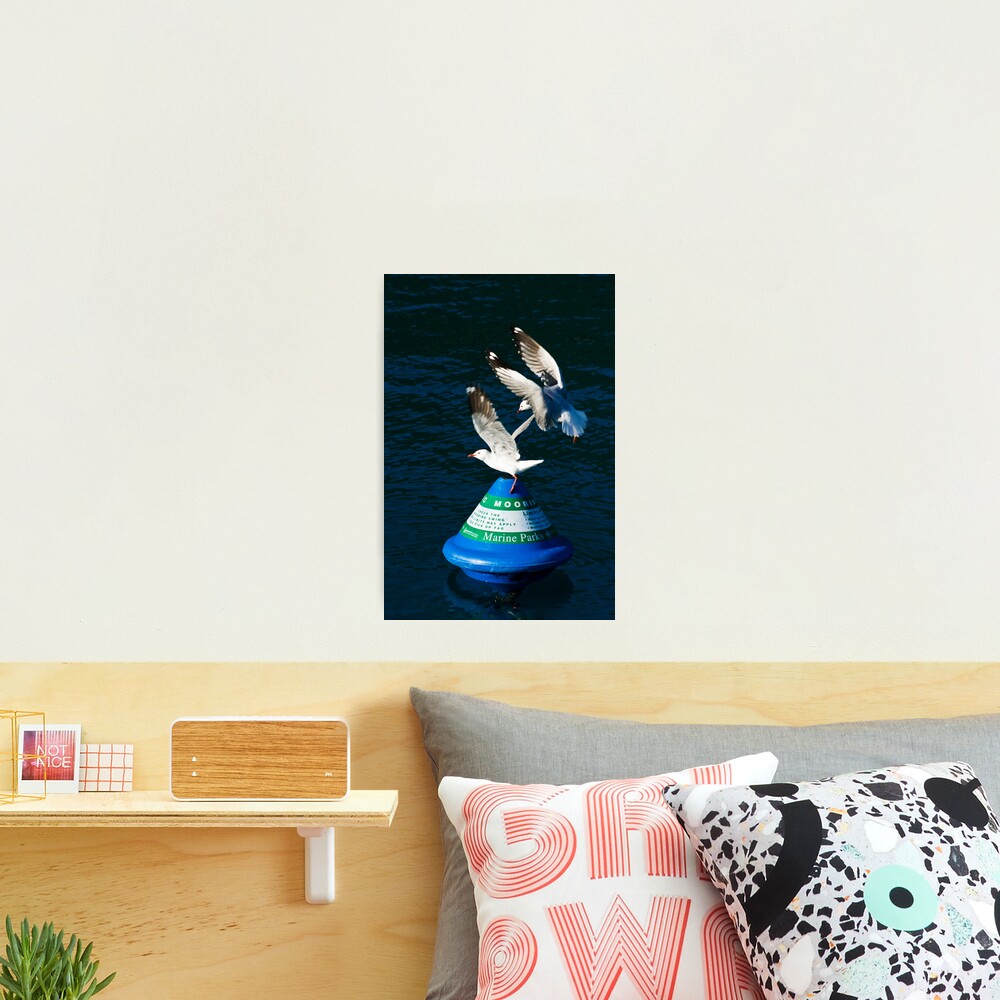 Crowded House Photographic Print