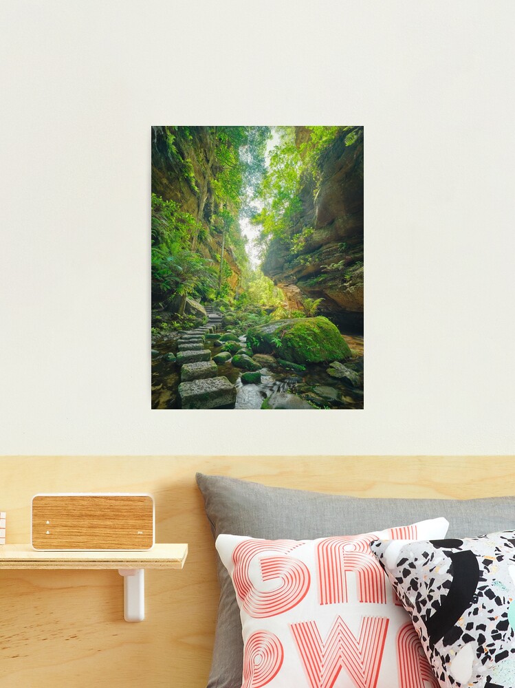 Thumbnail 1 of 3, Photographic Print, Grand Canyon Track, Blue Mountains, New South Wales, Australia designed and sold by Michael Boniwell.