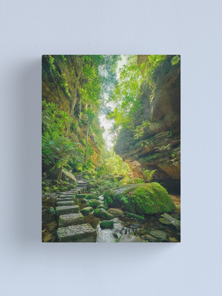 Thumbnail 1 of 3, Canvas Print, Grand Canyon Track, Blue Mountains, New South Wales, Australia designed and sold by Chockstone.