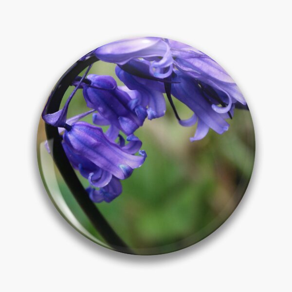 Item preview, bluebell designed and sold by KathleenDawson.