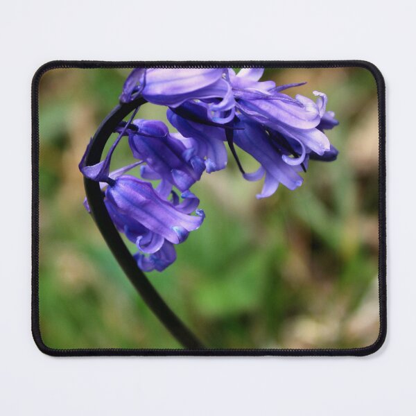 Item preview, bluebell designed and sold by KathleenDawson.