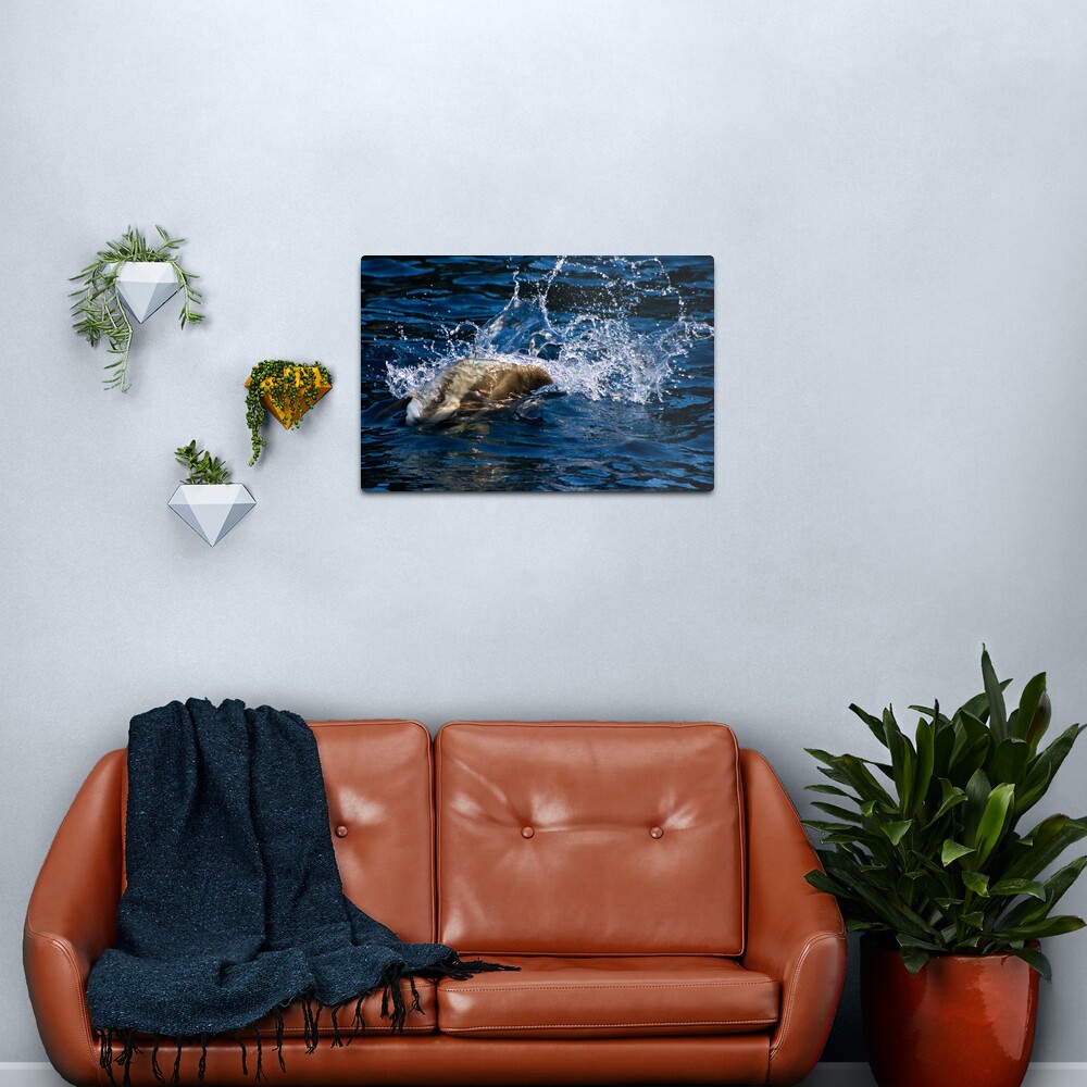 Breaking the Barrier Metal Print