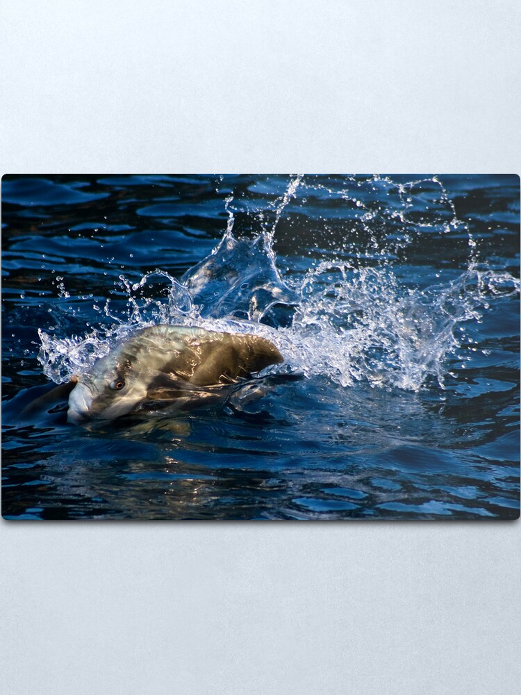 Alternate view of Breaking the Barrier Metal Print