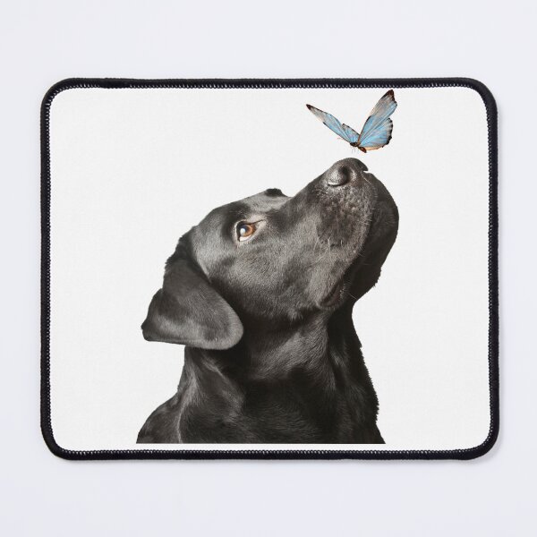 Item preview,  black dog and butterfly designed and sold by Elbruz.
