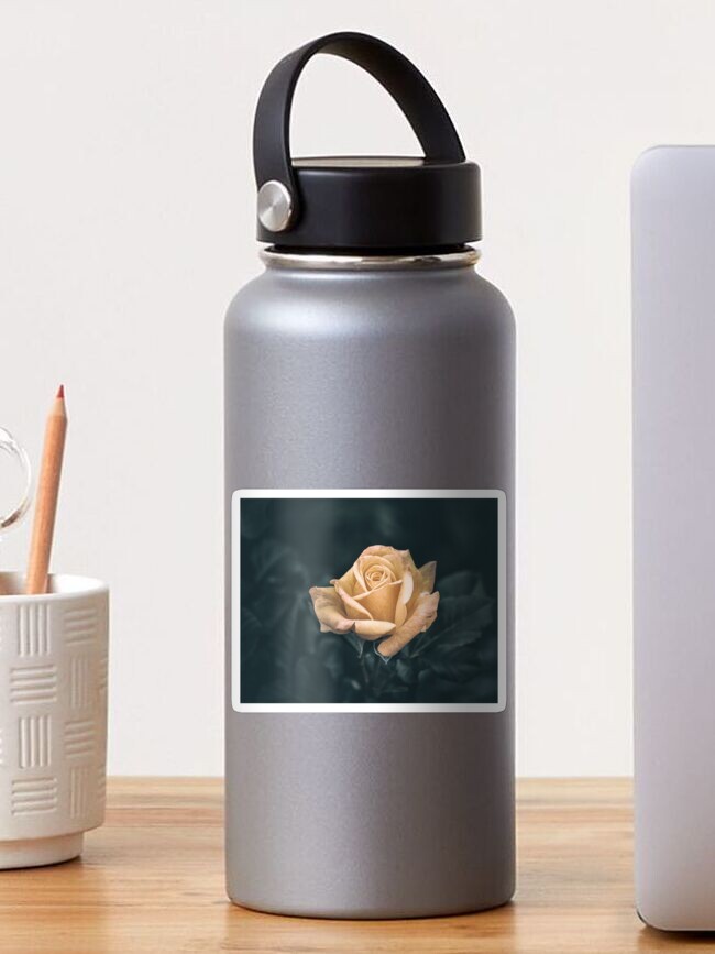 Thumbnail 1 of 3, Sticker, A Symbol of Love: The Resplendent Rose designed and sold by cokemann.