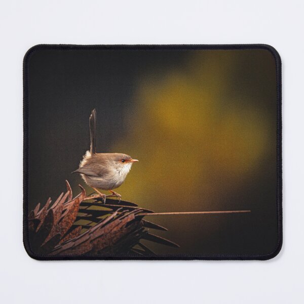 Item preview, Fairy wren designed and sold by PVphotography.
