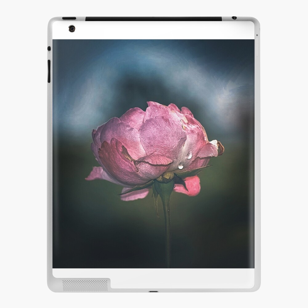 Item preview, iPad Skin designed and sold by cokemann.