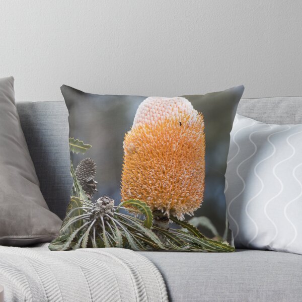 Item preview, Banksia Flower designed and sold by DPalmer.