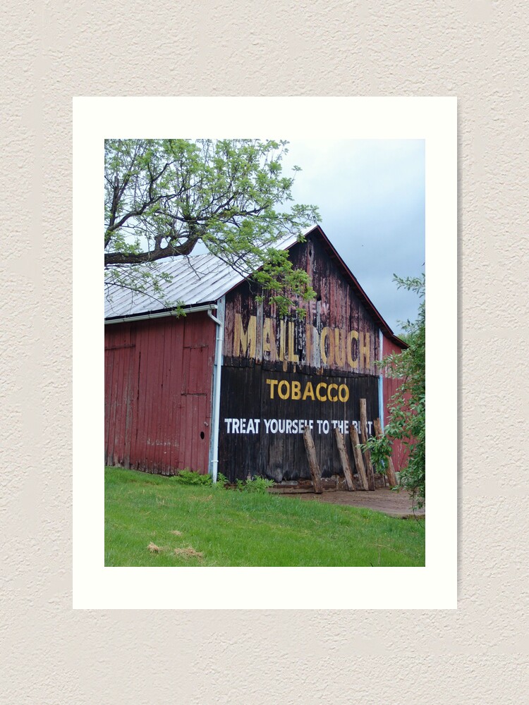 Alternate view of Mail Pouch Tobacco Art Print
