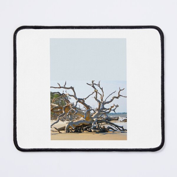 Item preview, Live Oak Graveyard - Jekyll Island Graphic designed and sold by fitsandfinds.