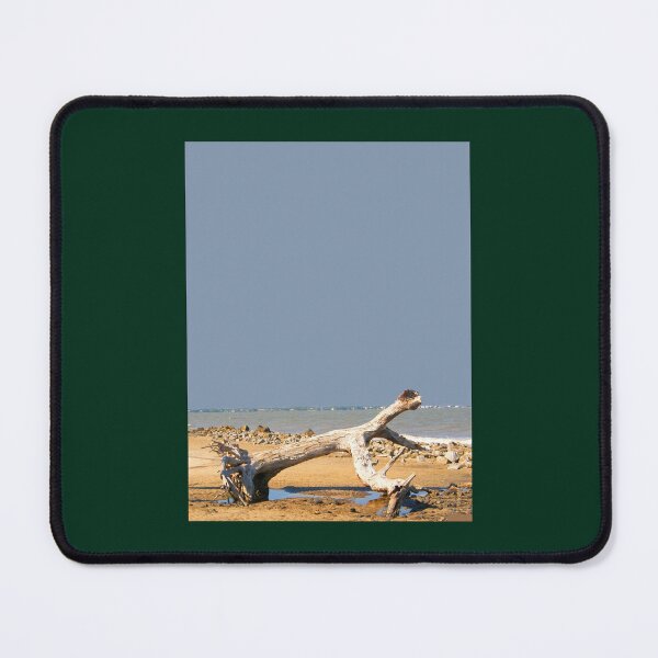 Item preview, Live Oak Graveyard - Jekyll Island Graphic(1) designed and sold by fitsandfinds.