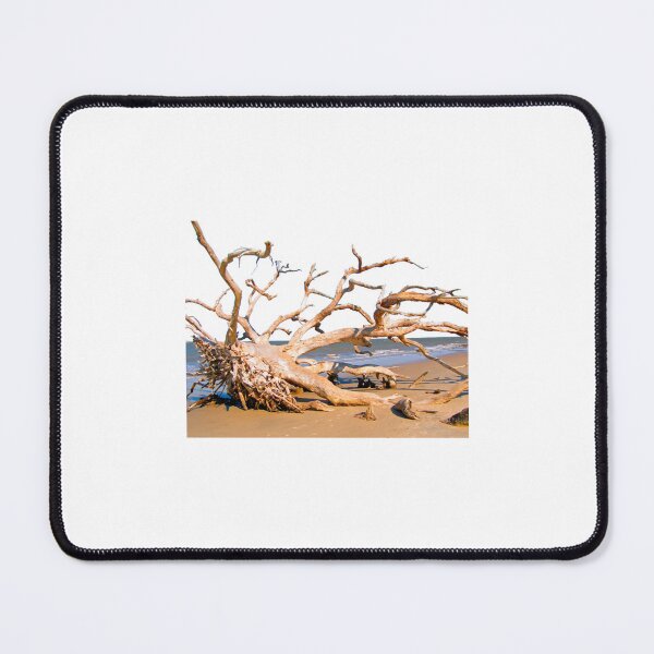 Item preview, Live Oak Graveyard - Jekyll Island designed and sold by fitsandfinds.