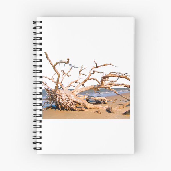 Item preview, Live Oak Graveyard - Jekyll Island designed and sold by fitsandfinds.