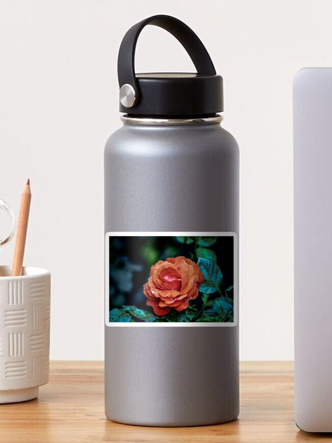 Thumbnail 1 of 3, Sticker, Blossoming Enchantment: The Radiant Rose designed and sold by cokemann.