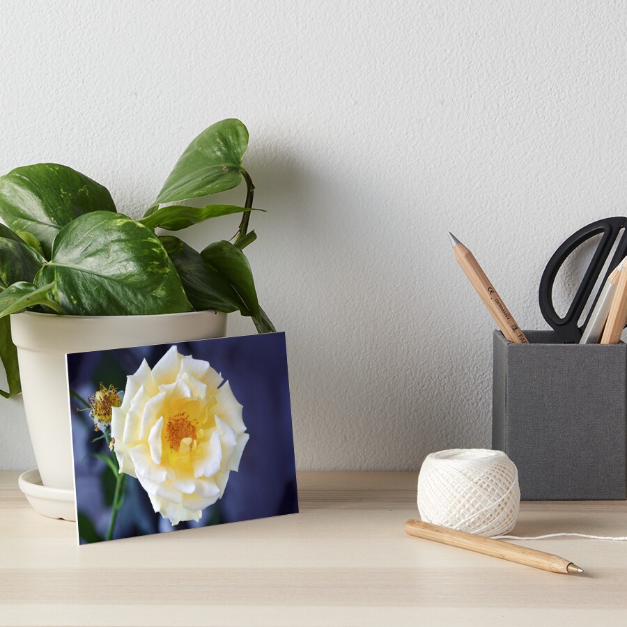 Item preview, Art Board Print designed and sold by cokemann.