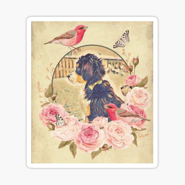 pretty vintage pink Bernese Mountain Dog Sticker