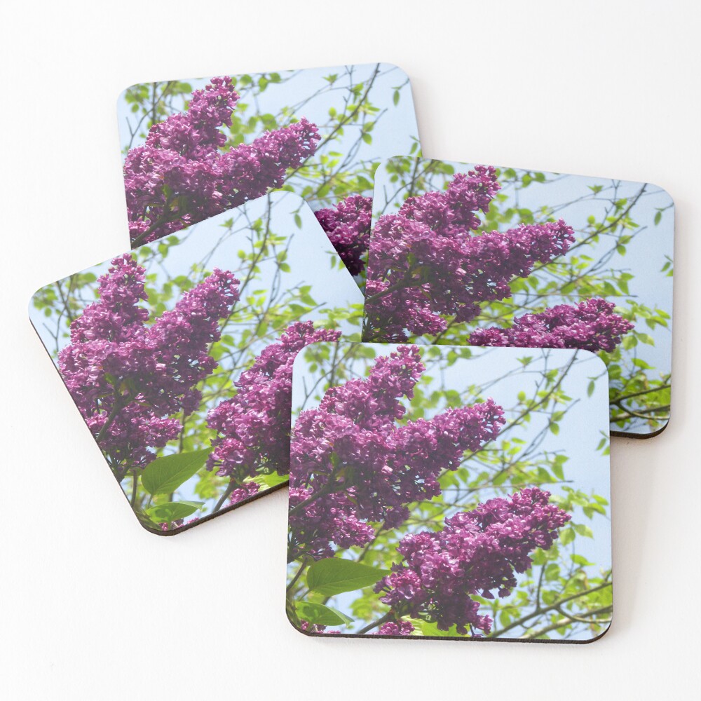 Item preview, Coasters (Set of 4) designed and sold by jchanders.