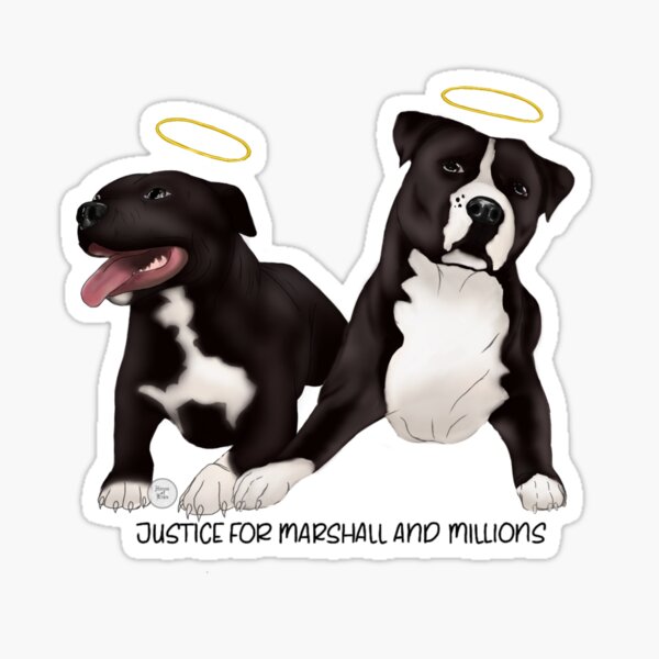 Justice for Marshall and Millions  Sticker
