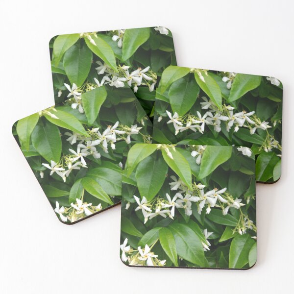 Item preview, Jazmin flower designed and sold by PrettyAround.