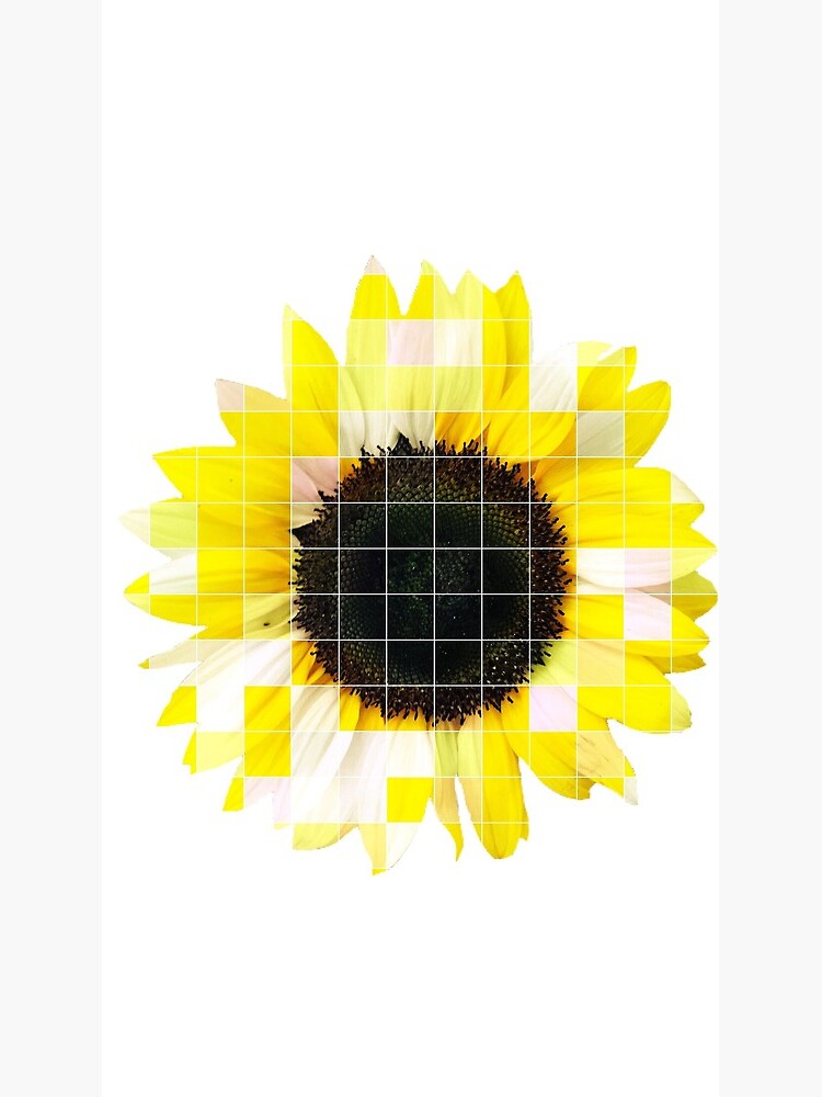 Geometric Sunflower