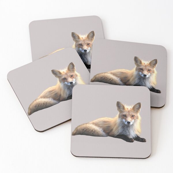 Item preview, Furry Fox Sticker Artwork designed and sold by BaristaHero.