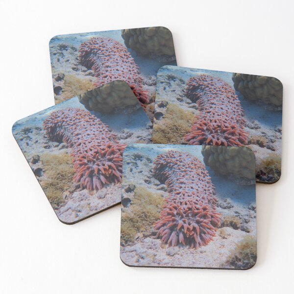 Item preview, A spikey sea cucumber designed and sold by Anglemey.