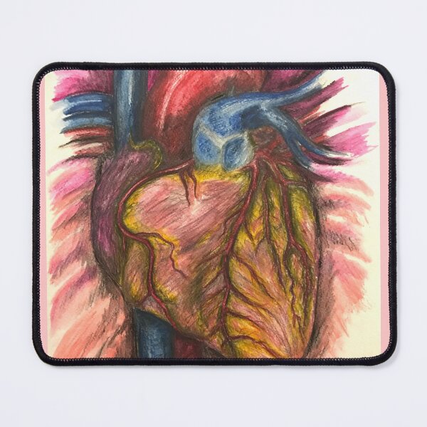 Item preview, Watercolor anatomical heart designed and sold by Actball.