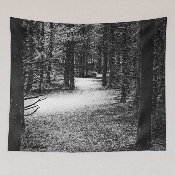 Item preview, Photo of Mysterious Forest Trail Covered with Snow V1 designed and sold by Family Journey with God.