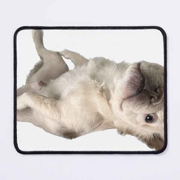Item preview, Lounging Dinky  designed and sold by pheebert23.