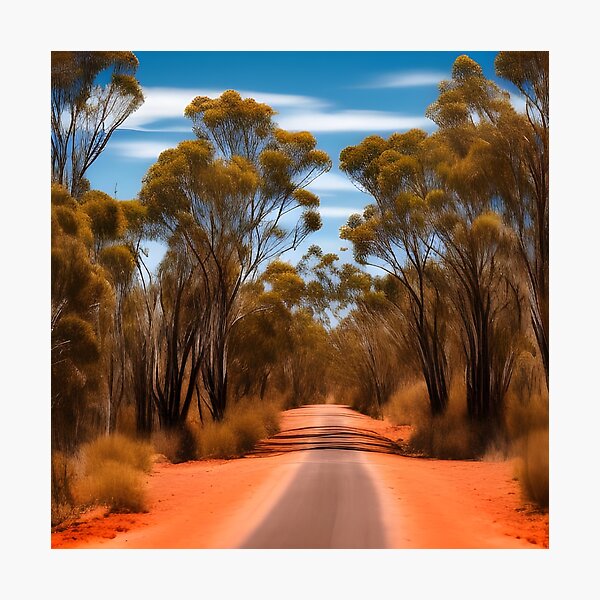 Road in Australian Outback Photographic Print