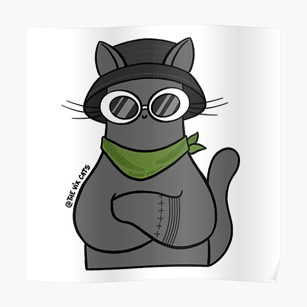 Mode de rue de chat Poster